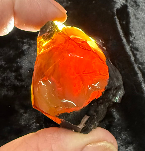 94 Gram Oregon Fire Opal Rough