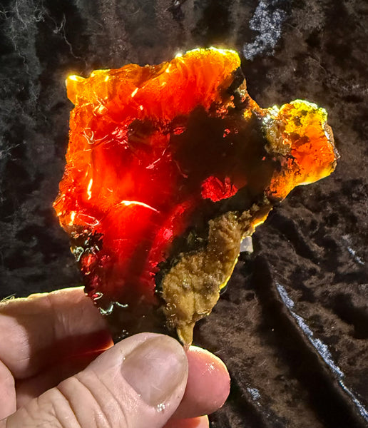 169 Gram Oregon Chocolate Fire Opal Rough