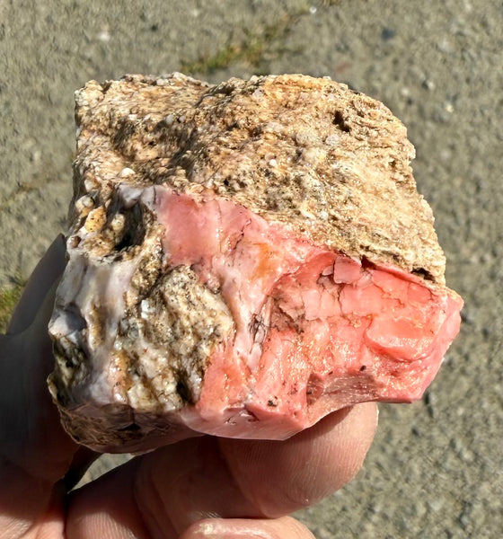 187 Gram Oregon Pink Opal Rough