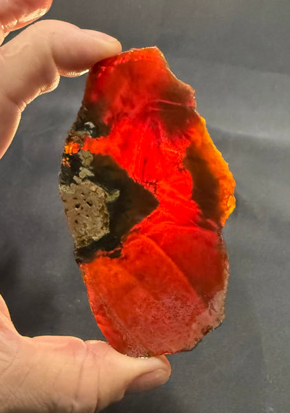 100 Gram Oregon Chocolate Fire Opal Slab