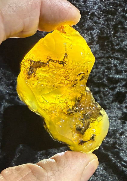 78 Gram Oregon Fire Opal Rough