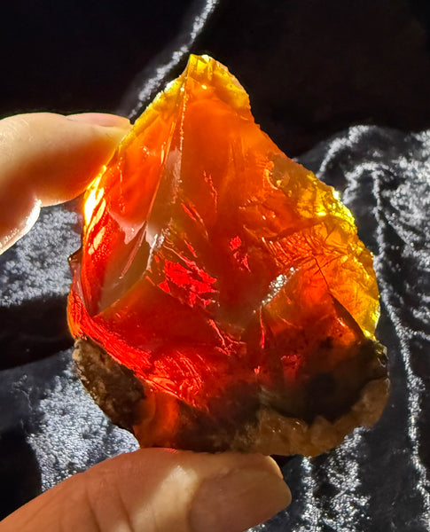 148 Gram Oregon Chocolate Fire Opal Rough