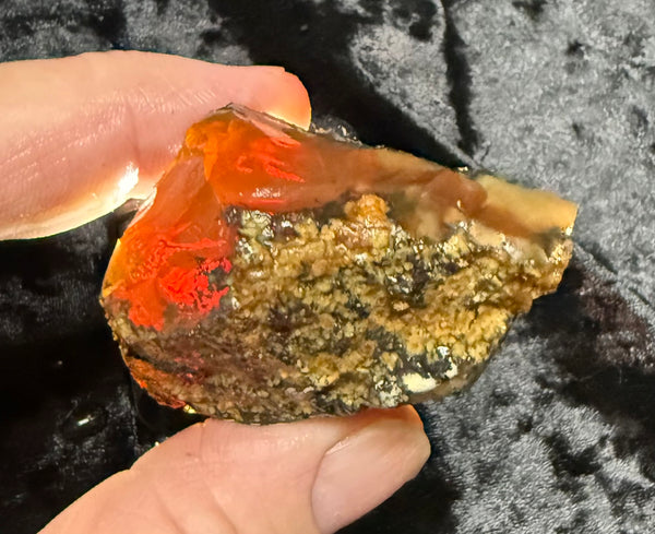 73 Gram Oregon Chocolate Fire Opal Rough