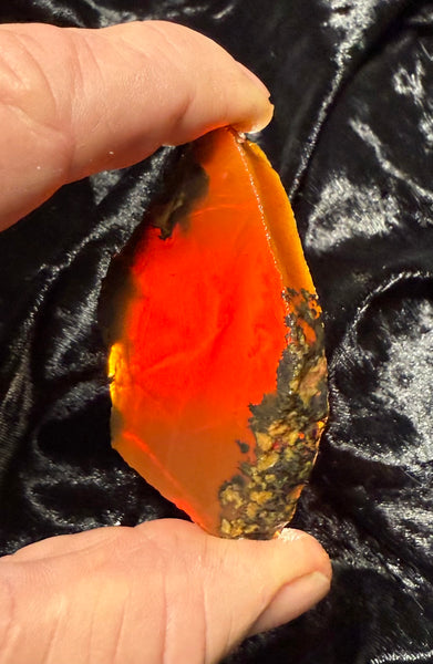 43 Gram Oregon Chocolate Fire Opal Slab