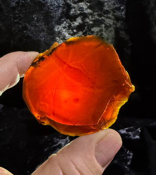 77 Gram Oregon Chocolate Fire Opal Slab