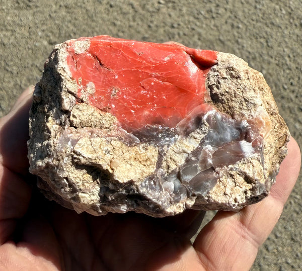 387 Gram Oregon Red Opal