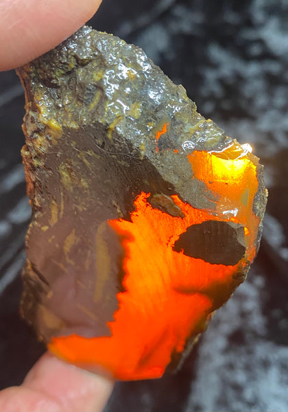 75 Gram Oregon Chocolate Fire Opal Slab