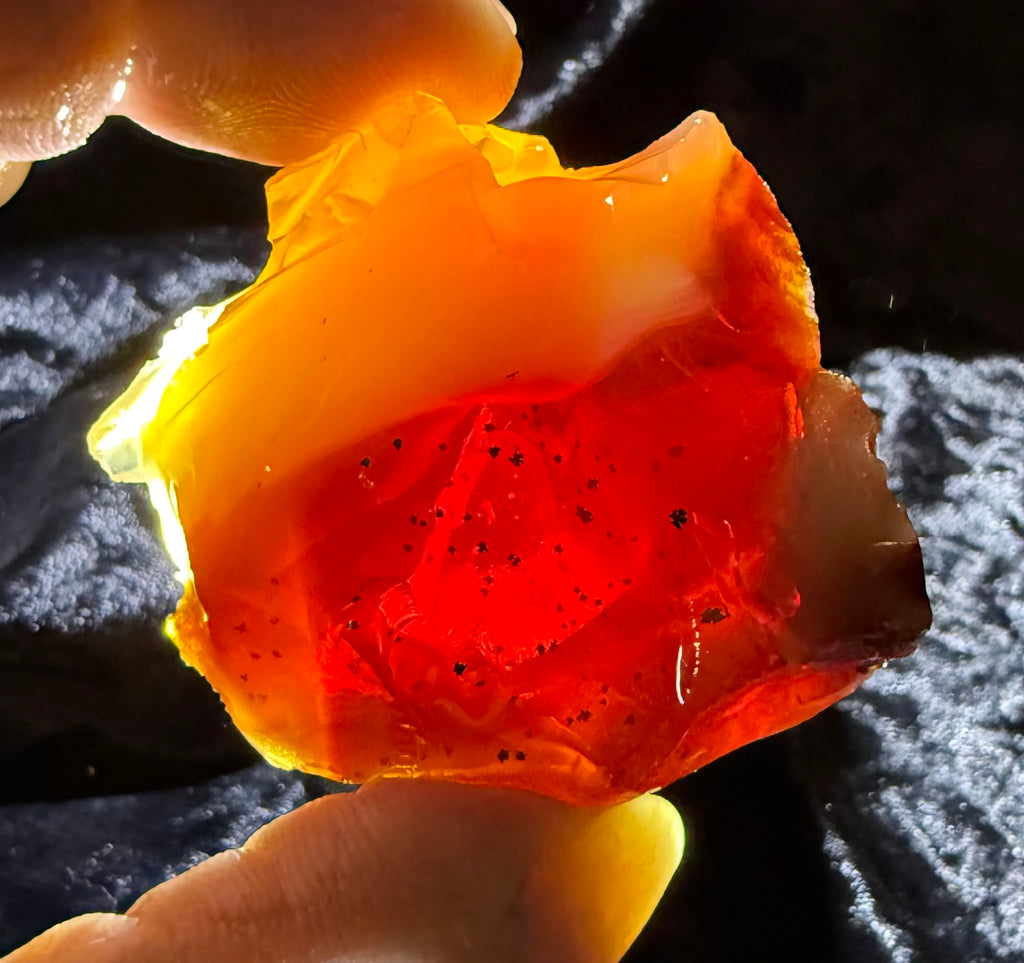 80 Gram Oregon Fire Opal Rough