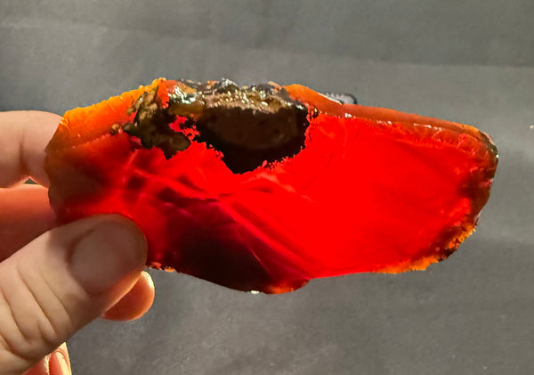 133 Gram Oregon Chocolate Fire Opal Slab