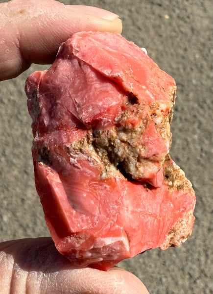53 Gram Oregon Red Opal Rough