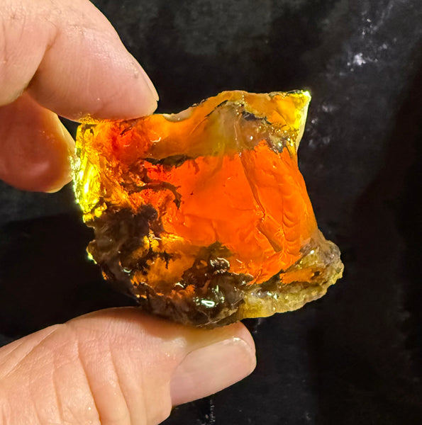 65 gram Oregon Fire Opal Rough
