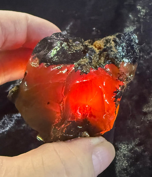 156 Gram Oregon Chocolate Fire Opal Rough