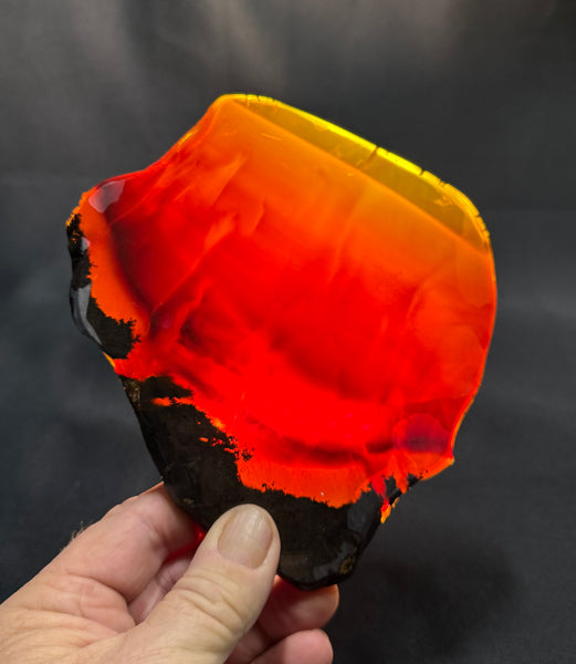 295 Gram Oregon Chocolate Fire Opal Slab