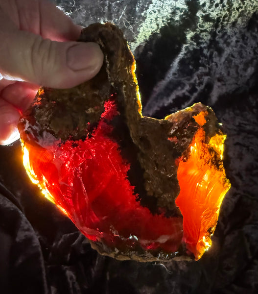 564 Gram Oregon Chocolate Fire Opal Rough