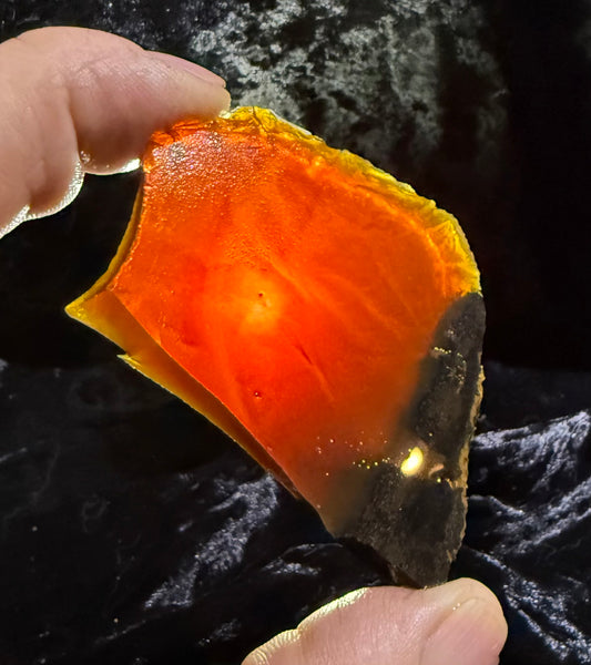 49 Gram Oregon Chocolate Fire Opal Slab