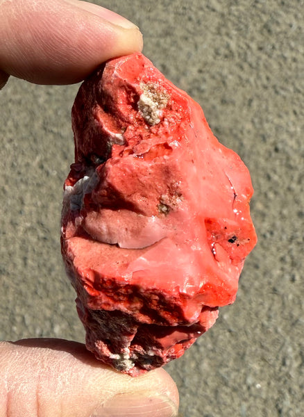 81 Gram Oregon Red Opal