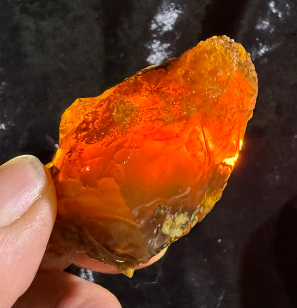 73 Gram Oregon Fire Opal Rough