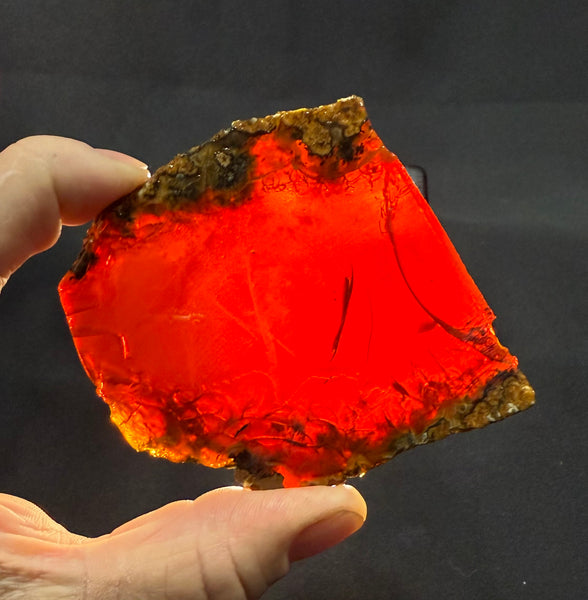 134 Gram Oregon Chocolate Fire Opal Slab