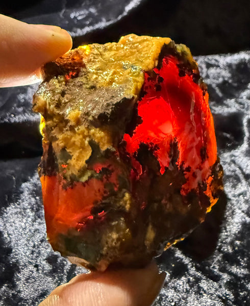 98 Gram Oregon Chocolate Fire Opal Rough