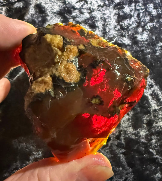 203 Gram Oregon Chocolate Fire Opal Rough