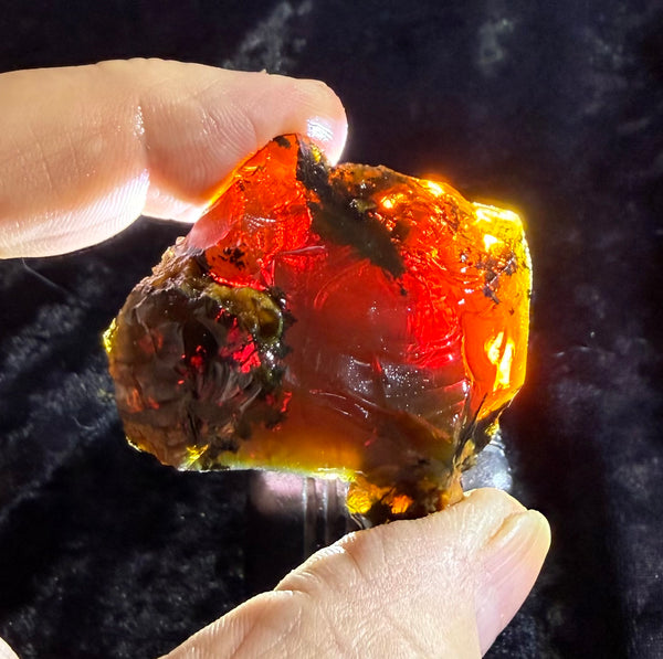 61 Gram Oregon Chocolate Fire Opal Rough
