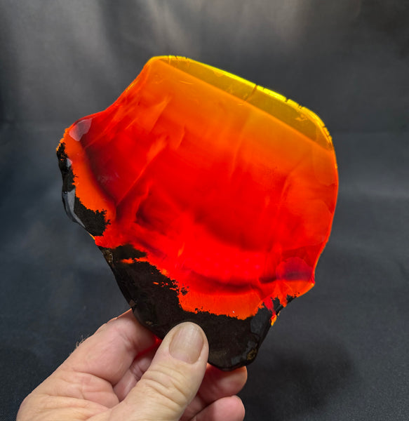 295 Gram Oregon Chocolate Fire Opal Slab