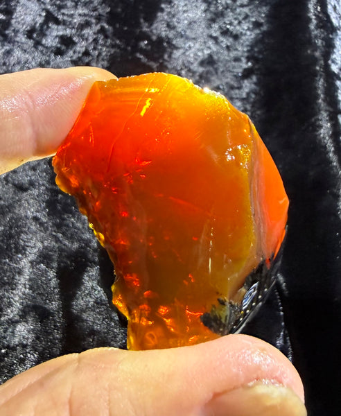 64 Gram Oregon Chocolate Fire Opal Rough