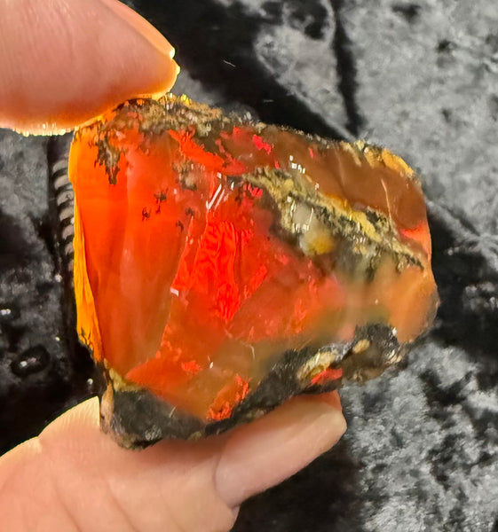 73 Gram Oregon Chocolate Fire Opal Rough