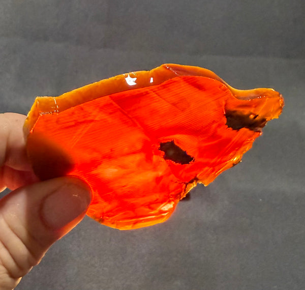 77 Gram Oregano Chocolate Fire Opal Slab