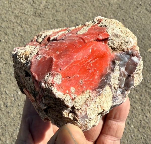 387 Gram Oregon Red Opal