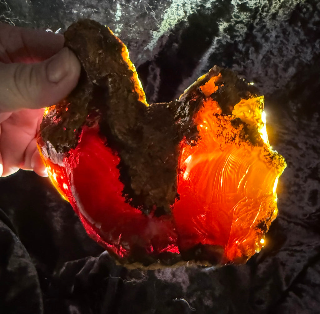 564 Gram Oregon Chocolate Fire Opal Rough