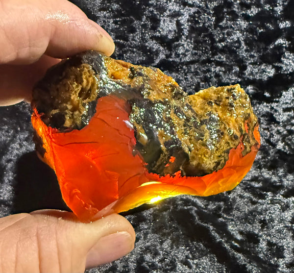 177 Gram Oregon Chocolate Fire Opal Rough