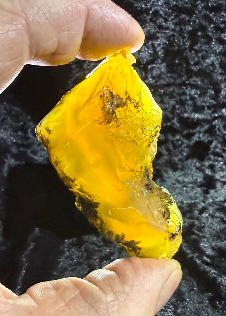 78 Gram Oregon Fire Opal Rough