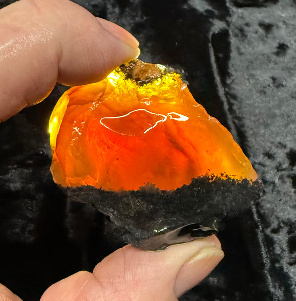 94 Gram Oregon Fire Opal Rough