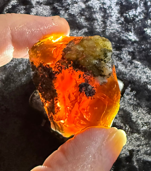 53 Gram Oregon Fire Opal Rough