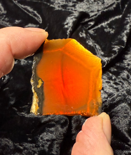 37 Gram Oregon Chocolate Fire Opal Slab