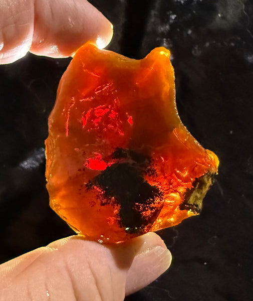 70 Gram Oregon Chocolate Fire Opal Rough