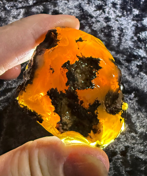 85 Gram Oregon Fire Opal Rough