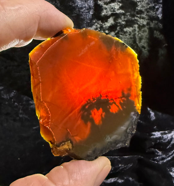 81 Gram Oregon Chocolate Fire Opal Slab