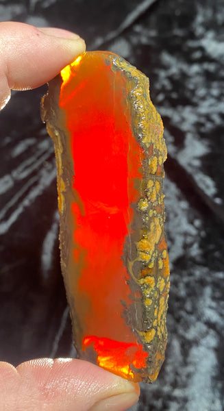 72 Gram Oregon Chocolate Fire Opal Slab