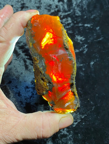 172 Gram Oregon Chocolate Fire Opal Rough