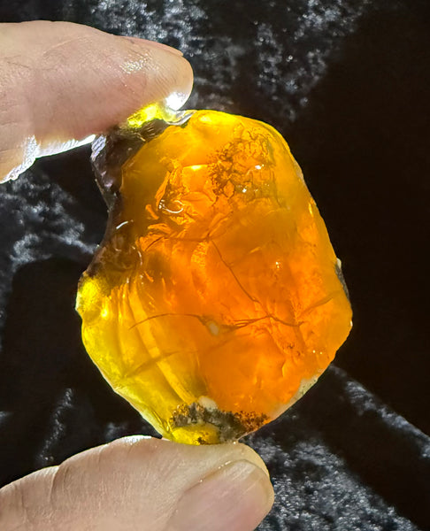 53 Gram Oregon Fire Opal Rough