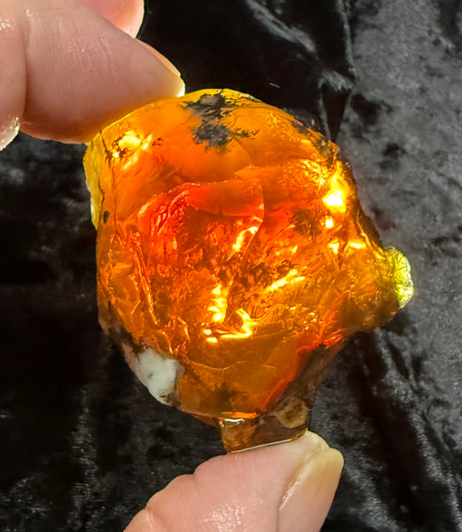 58 Gram Oregon Fire Opal Rough