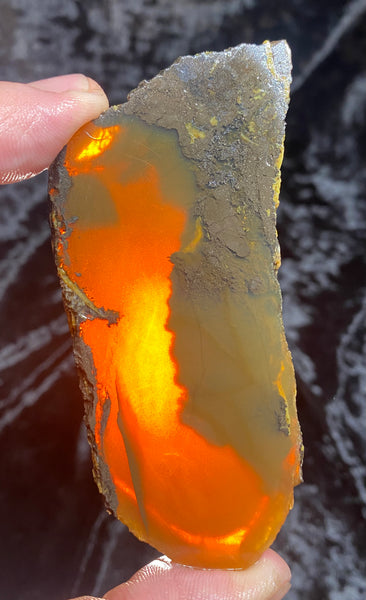 75 Gram Oregon Chocolate Fire Opal Slab