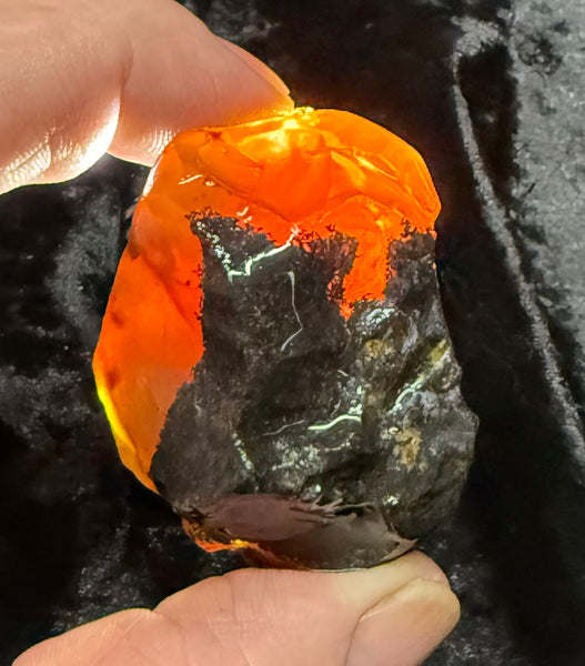 94 Gram Oregon Fire Opal Rough