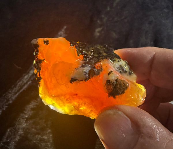 68 Gram Oregon Fire Opal Rough