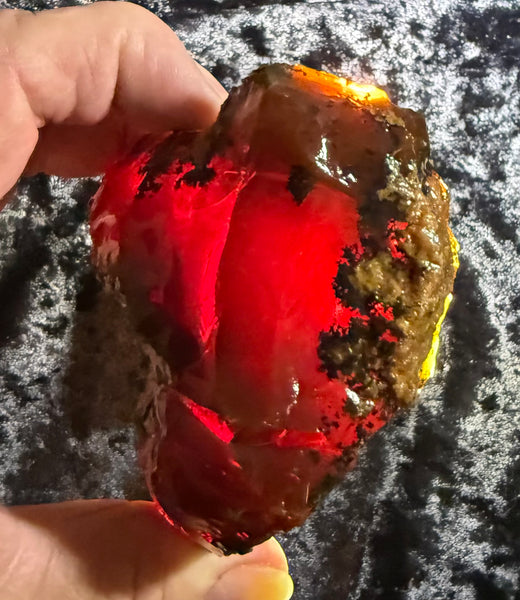 351 Gram Oregon Chocolate Fire Opal Rough