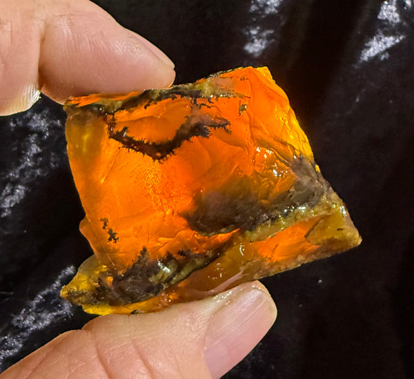 78 Gram Oregon Fire Opal Rough
