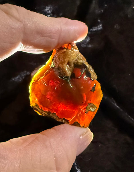 53 Gram Oregon Chocolate Fire Opal Rough