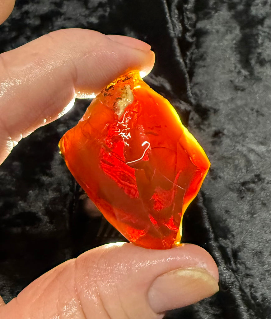 51 Gram Oregon Fire Opal Rough